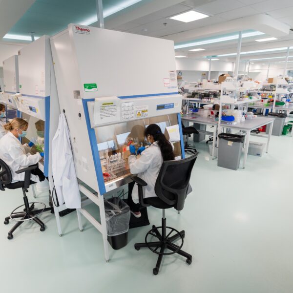 Scientists working at biosafety cabinets in a modern research laboratory.