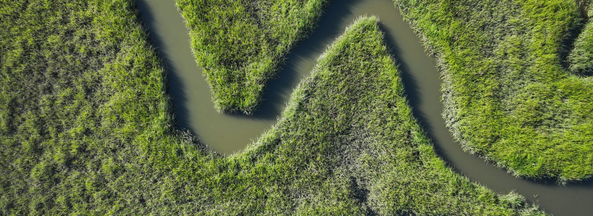 Overhead drone shot of meandering waterways cutting through marsh grass.