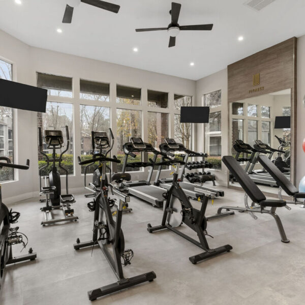 Stationary bicycles, treadmills, free weights, and yoga balls make up a modern gym.