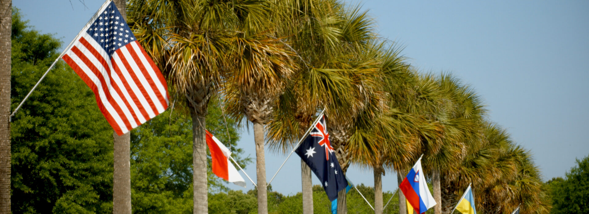 Flags from around the world line palm trees on a road.