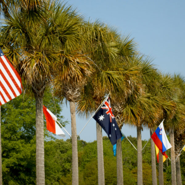 Flags from around the world line palm trees on a road.