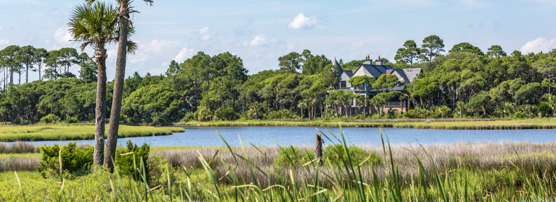 A marsh surrounded by green grass and trees during the day.