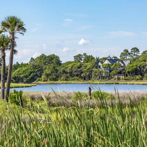 A marsh surrounded by green grass and trees during the day.
